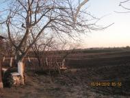 Григоровичі з panoramio.com