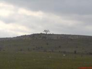 Нижні Орішники з panoramio.com