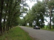 Королівка з panoramio.com