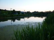 Новий Яричів - Останні фото