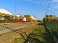 Олешник з panoramio.com