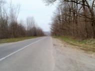 Сорокодуби з panoramio.com