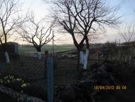 Григоровичі з panoramio.com