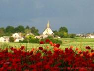 Купичів з panoramio.com