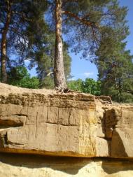 Чернеччина з panoramio.com