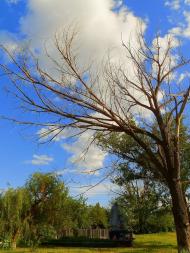 Комсомолець з panoramio.com