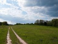 Луковиця з panoramio.com