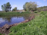 Терни з panoramio.com