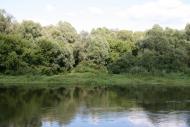 Голубів з panoramio.com