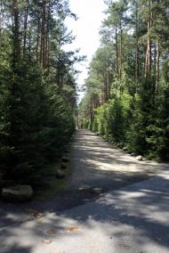 Кошари з panoramio.com