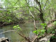 Королівка - Останні фото