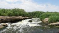 Токівське з panoramio.com