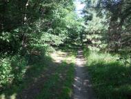 Сахутівка з panoramio.com