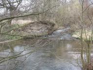 Буданів з panoramio.com