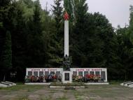 Чемерівці з panoramio.com