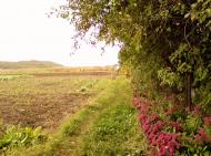 Рай з panoramio.com