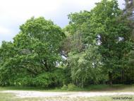 Тур з panoramio.com