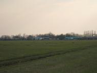 Весела Тарасівка - Останні фото