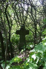 Луковиця з panoramio.com