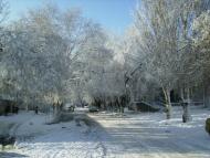 Татарбунари з panoramio.com