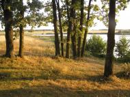 Купеч з panoramio.com