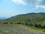 Виноградний з panoramio.com