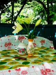 Мелені з panoramio.com