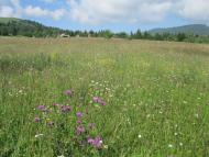 Баня-Березів з panoramio.com