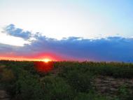 Торське - Останні фото