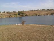 Велідарівка з panoramio.com