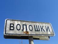 Волошки з panoramio.com