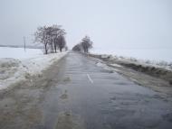 Лісоводи з panoramio.com