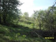 Куданівка з panoramio.com