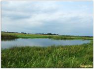 Заріччя з panoramio.com