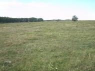 Михайло-Коцюбинське - Останні фото