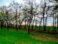 Дослідницьке - Останні фото