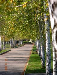 Комсомольське з panoramio.com