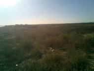 Приморський Посад з panoramio.com