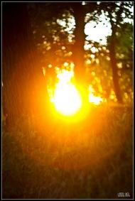 Колоденка з panoramio.com