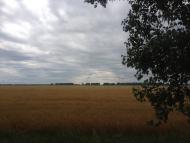 Королівка з panoramio.com