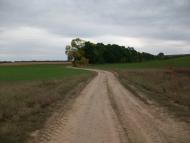 Кірове з panoramio.com