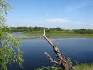 Очкине з panoramio.com