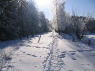 Рудня-Городищенська з panoramio.com