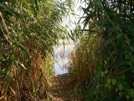 Долина з panoramio.com