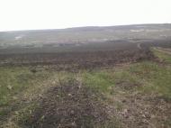 Березівка з panoramio.com