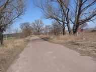 Товстоліс з panoramio.com