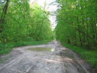 Довге з panoramio.com