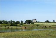 Софіївка з panoramio.com