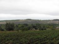 Нижня Дуванка з panoramio.com