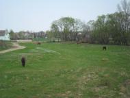 Заграбівка з panoramio.com